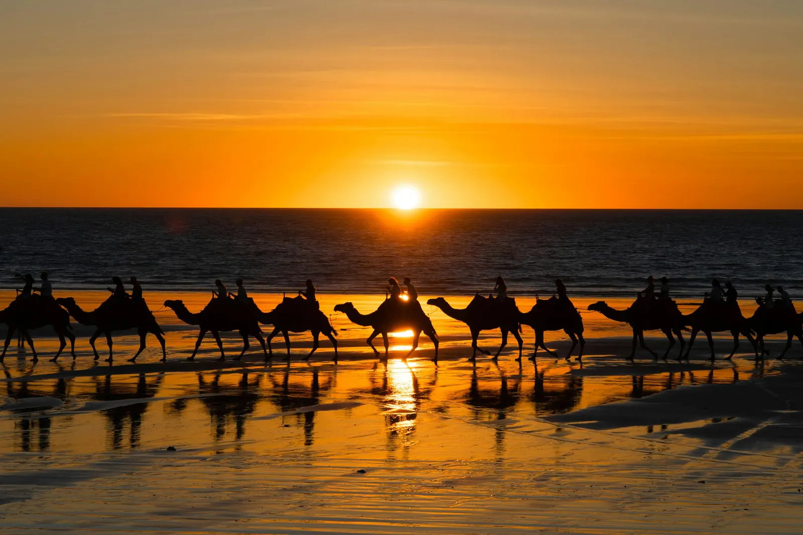 A line of camels with riders in silhouette walks along the shore at Cable Beach as the sun touches the horizon